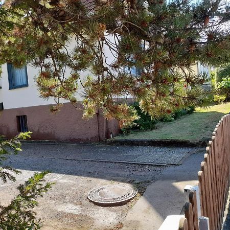 Ferienhaus International 巴特哈尔茨堡 外观 照片