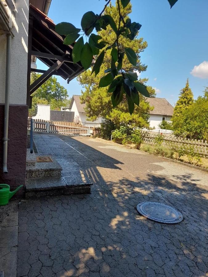 Ferienhaus International 巴特哈尔茨堡 外观 照片