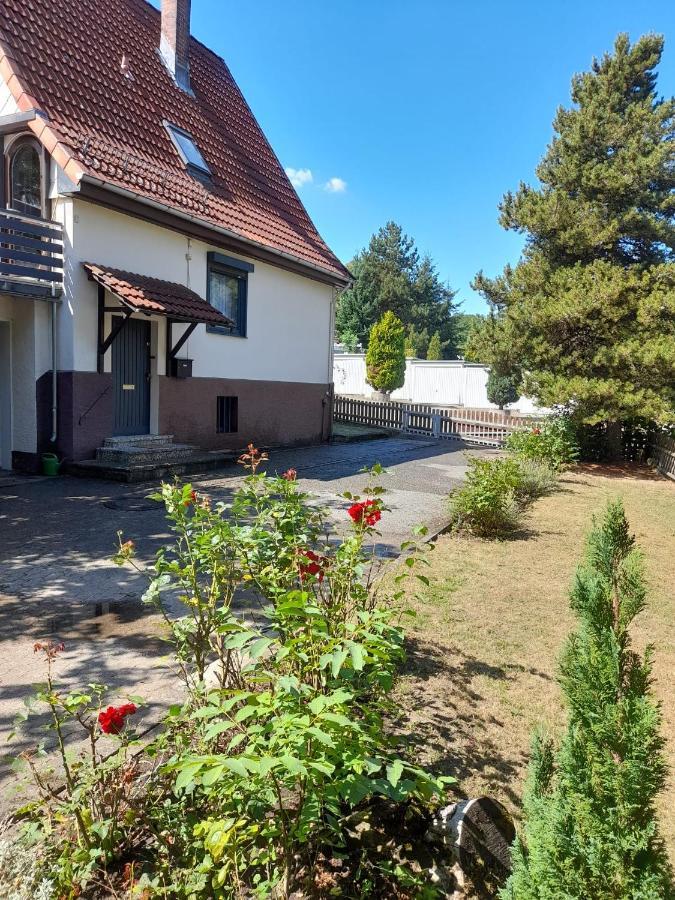 Ferienhaus International 巴特哈尔茨堡 外观 照片