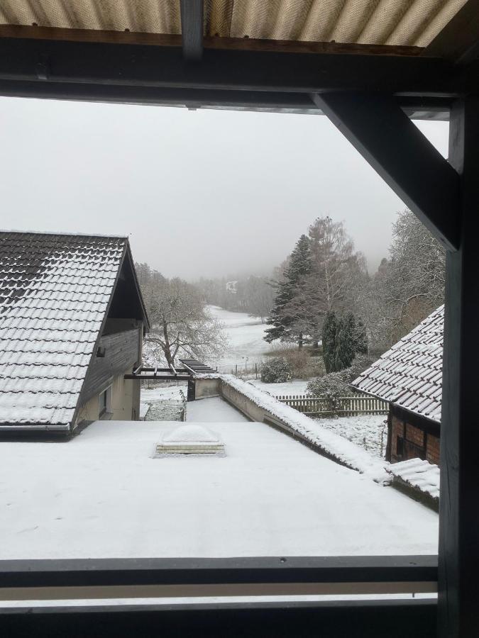 Ferienhaus International 巴特哈尔茨堡 外观 照片